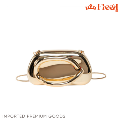 Acrylic Clutch Hand bag